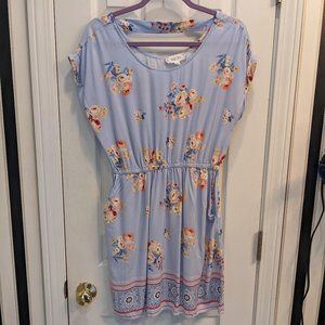 Sweet Floral Spring/Summer Dress with Pockets!